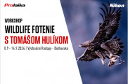 Workshop: Wildlife fotenie s Tomášom Hulíkom