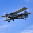 Retro Sky Team - Antonov AN-2TD, OM-RST