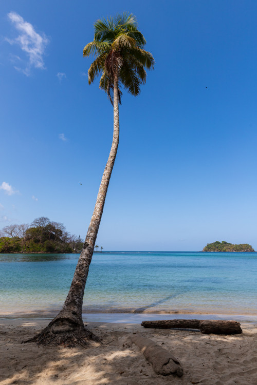 Playa Blanca