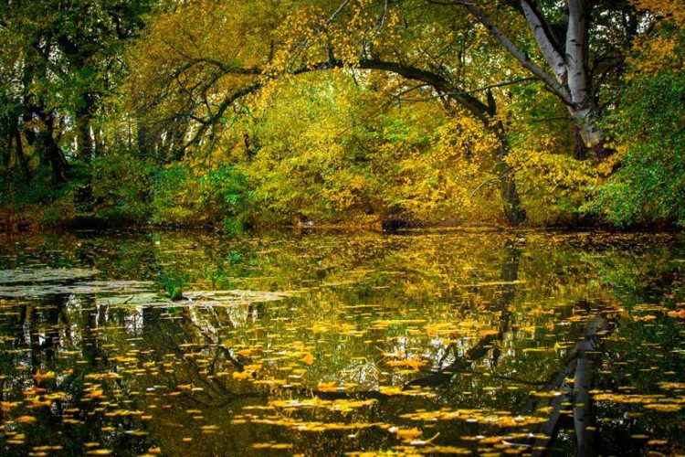 Park Hangoska NR