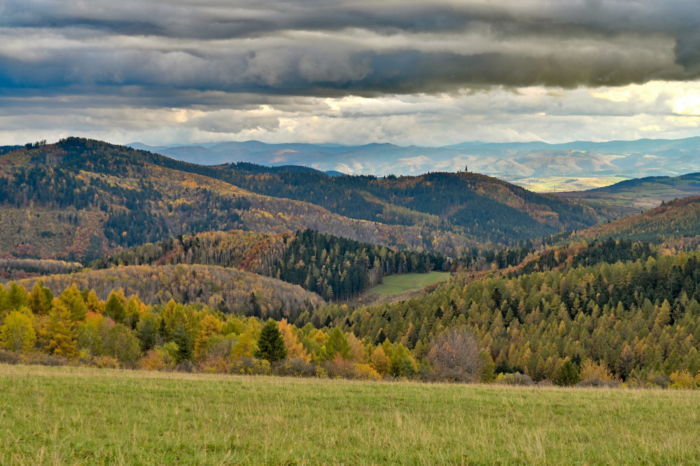 Levočské vrchy