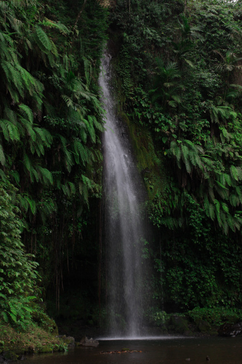 Waterfall in Indonesia