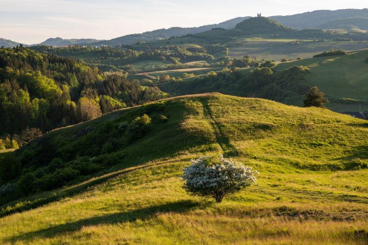 Kalvaria nad Bananskou Štiavnicou