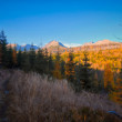 Chodníkom na Štrbské pleso