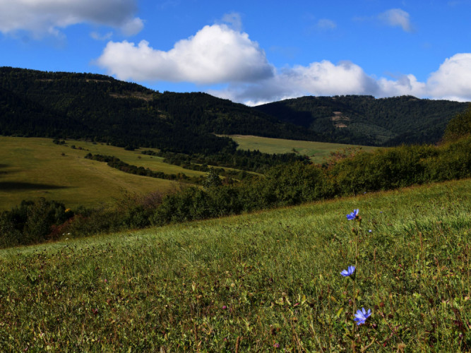 začiatok jesene