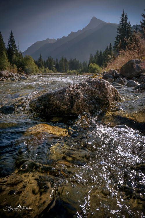 Kôprová dolina. Kriváň. Vysoké Tatry.