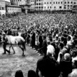 Palio di Siena