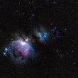 Orion Nebula