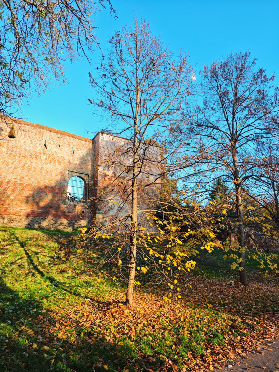 Trnavská jeseň