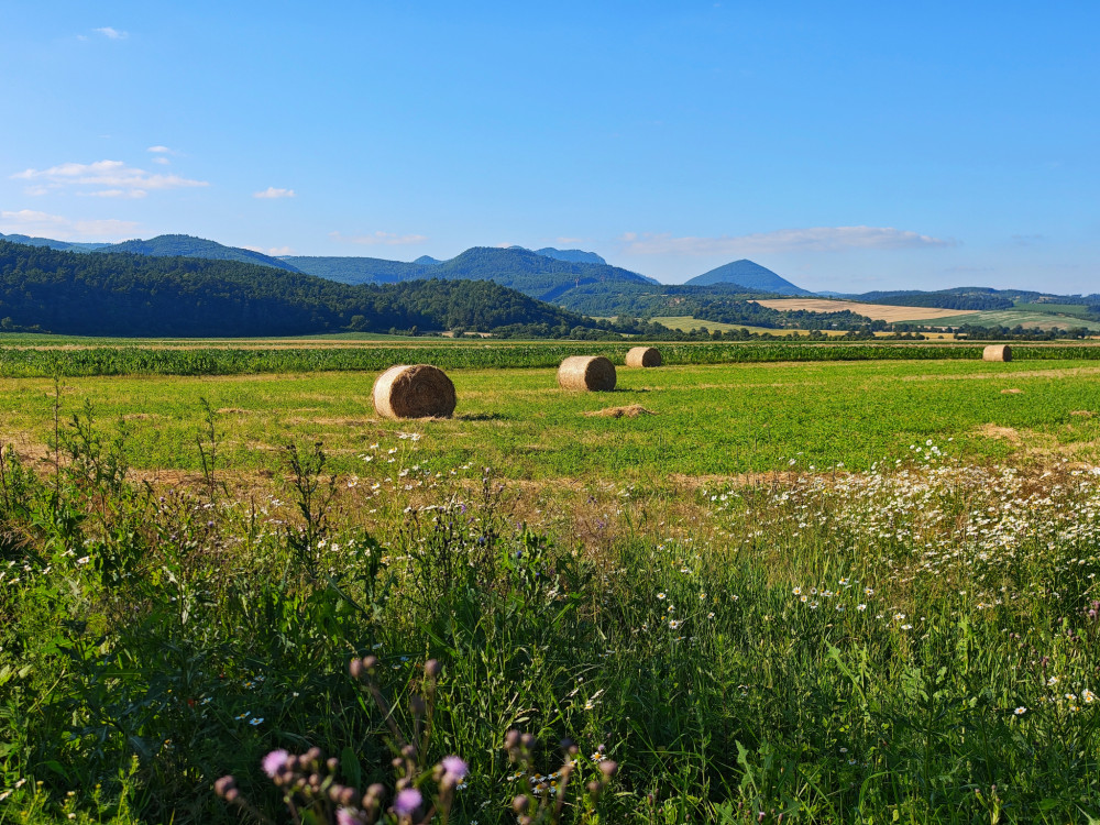 Pod Bielymi Karpatmi