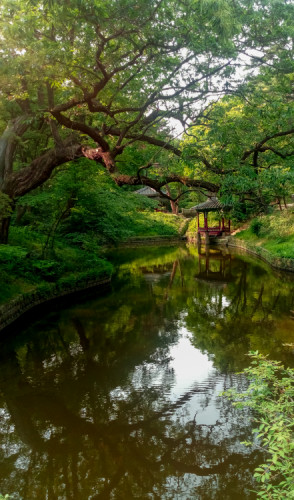 Peace in Changgyeonggung palace