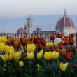 TULIPANI DA PIAZZALE MICHELANGELO - FIRENZE