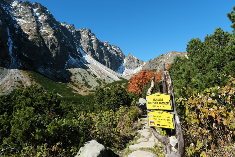 Tatry