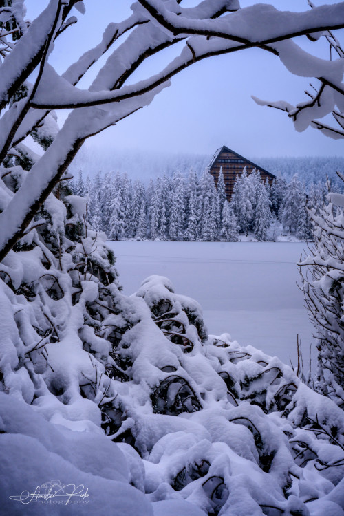 Štrbské pleso.