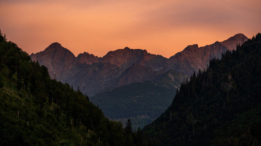 Vysoké Tatry z Tatranskej Javoriny