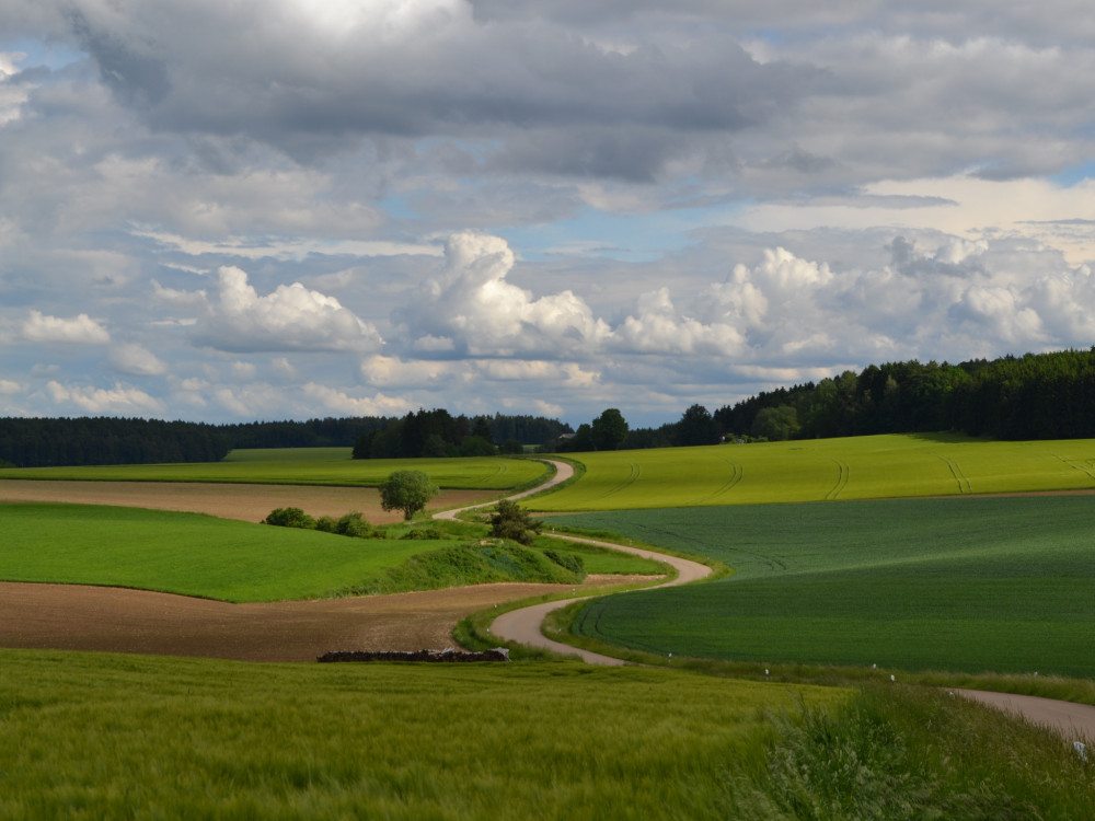 Rozprávková cesta