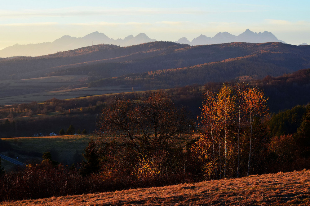 Levočské vlny