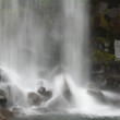 Svartifoss detail