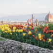 TULIPANI DA PIAZZALE MICHELANGELO - FIRENZE