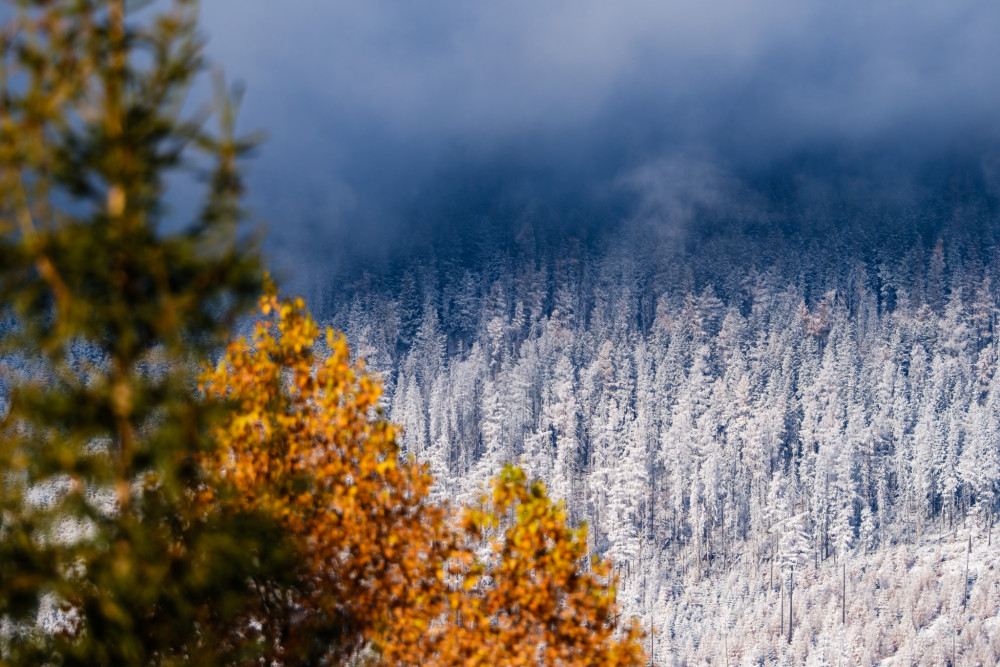 Tatry