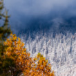 Tatry