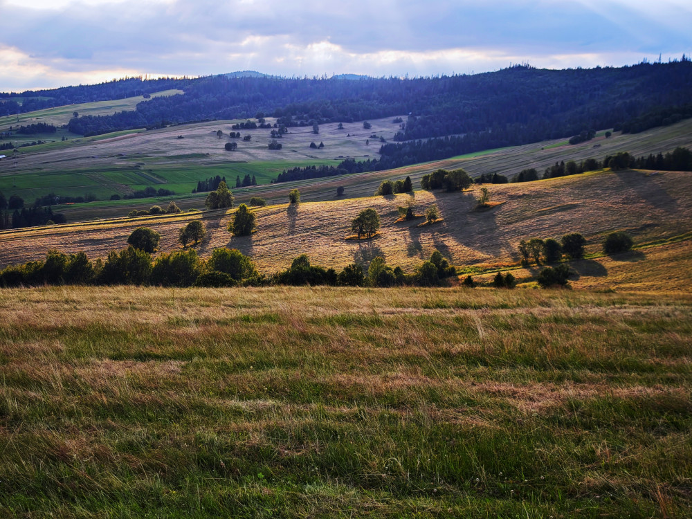 Nad Ždiarom