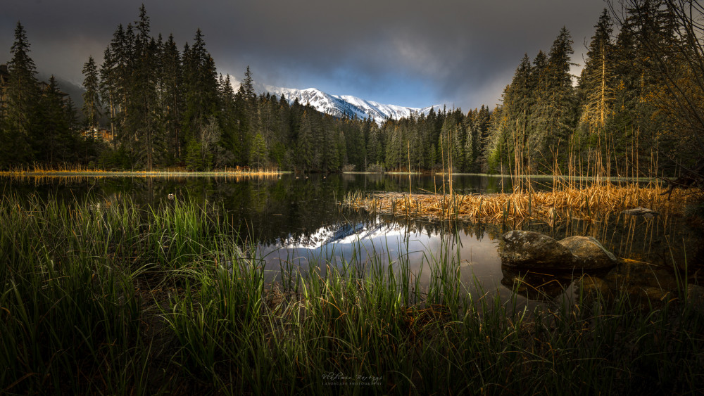 Vrbické pleso