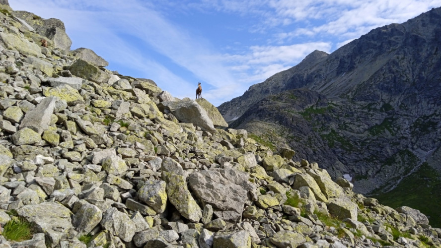 Tatry