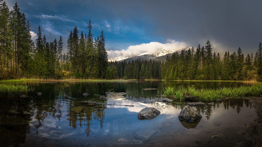 Vrbické pleso