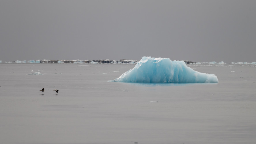 Svalbard