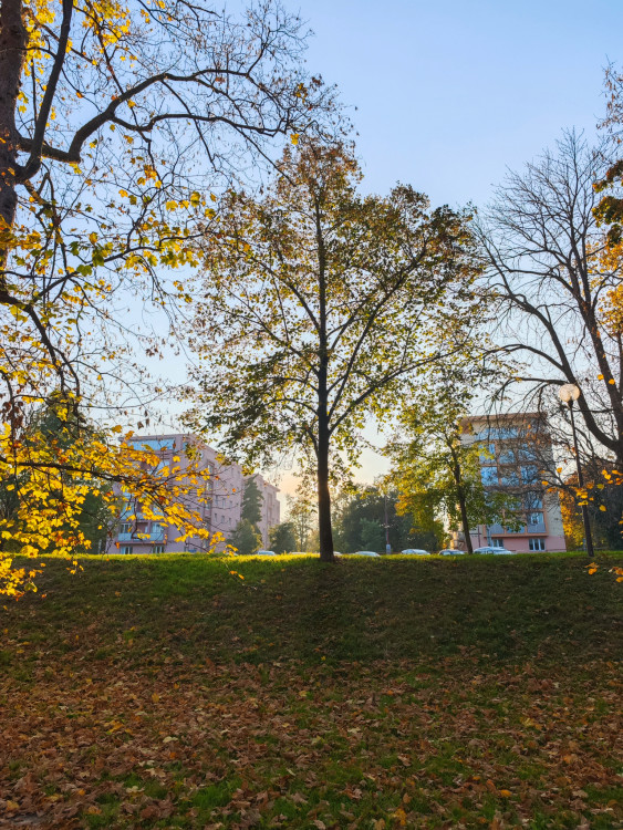 Promenáda