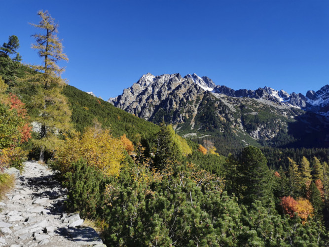 TATRY