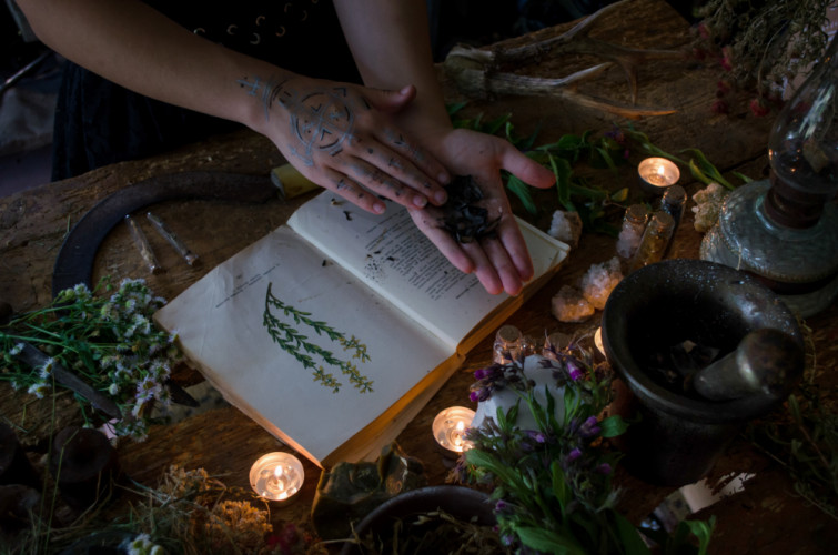 Herbs and witchcraft