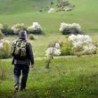 Silická planina