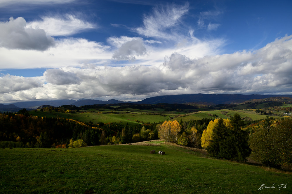 Orava farebná