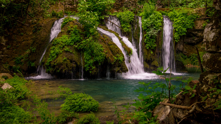 Ecopark Mlini - Bosna