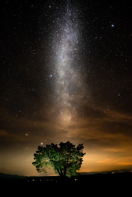 Strom a mliečna dráha