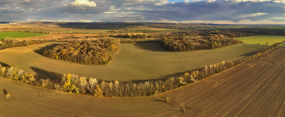 Trnavská pahorkatina