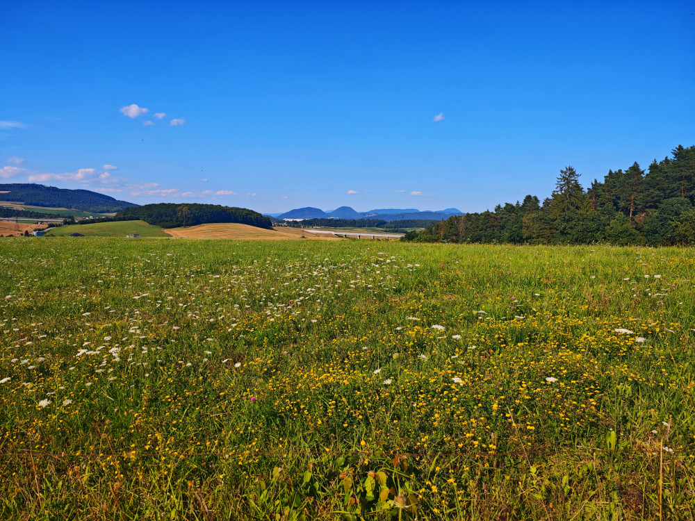 Súľovské vrchy