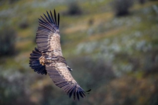 Foto: © Tomáš Hulík