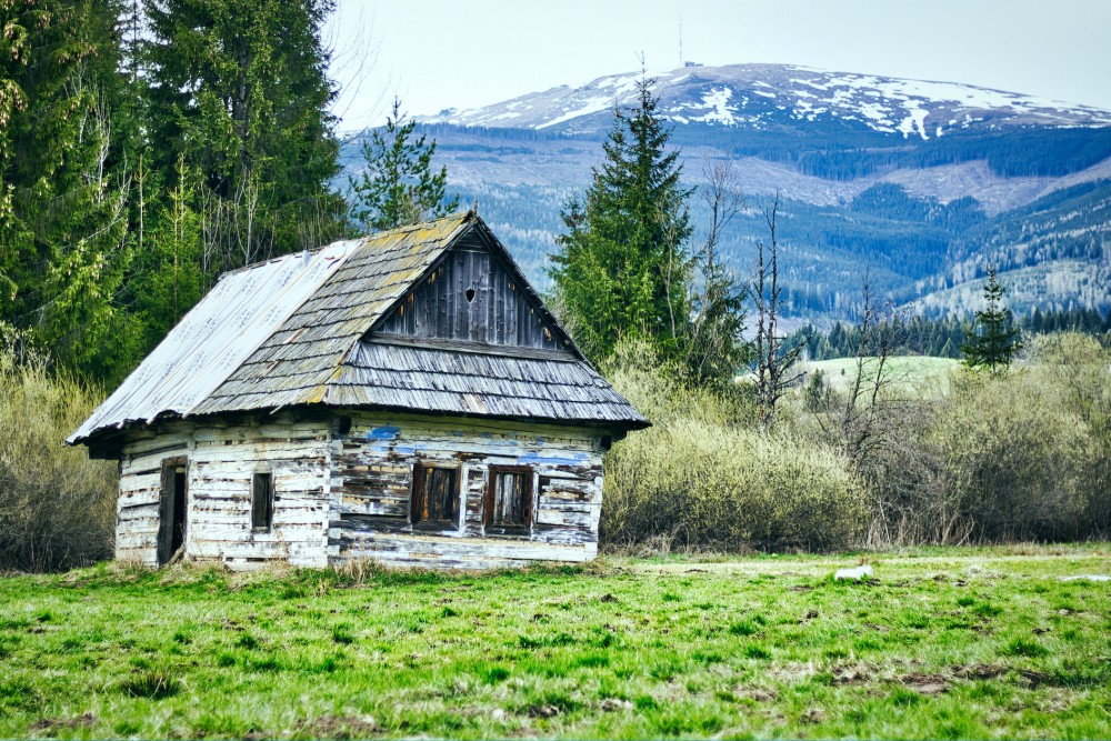 Drevenica pod Kráľovou Hoľou