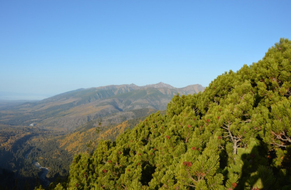 Vysoké Tatry a jasný deň