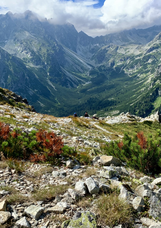 Vysoké Tatry