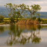 Očová - jazierko