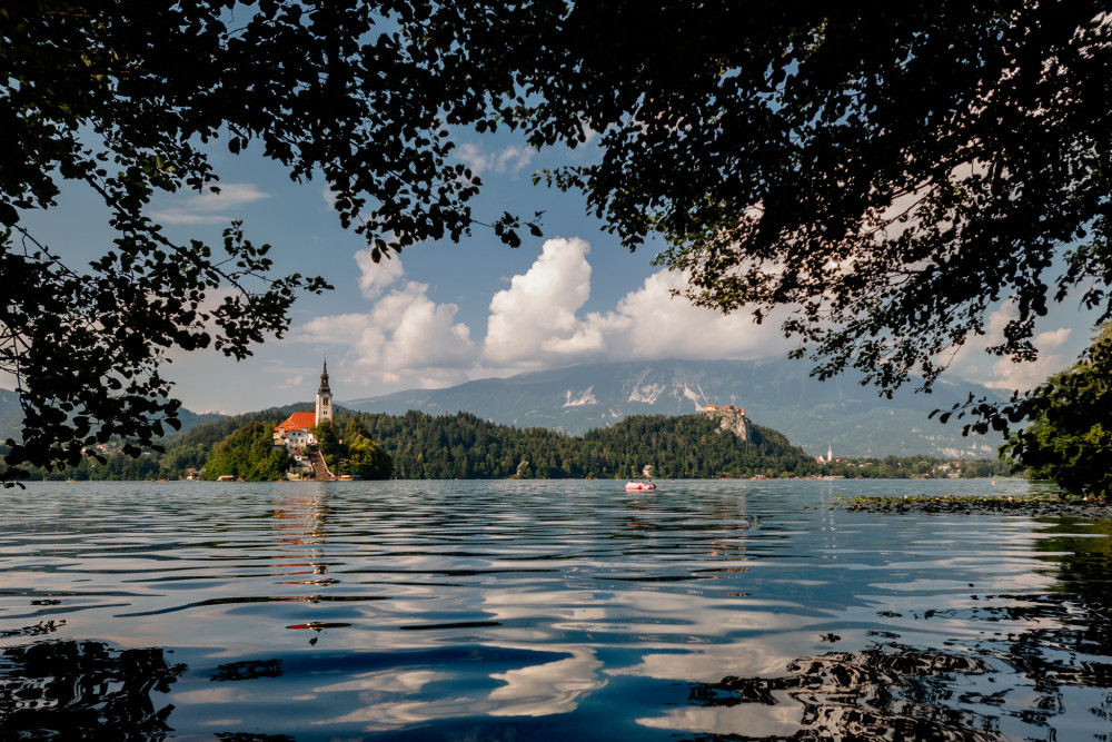 BLED