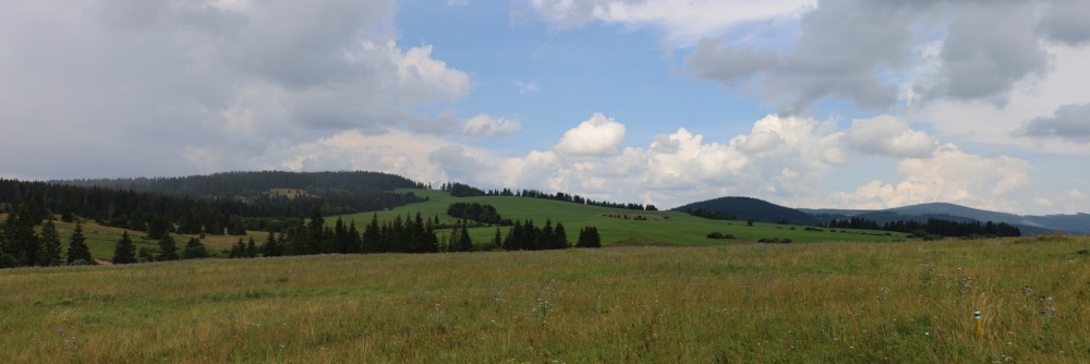 Planina pred dažďom