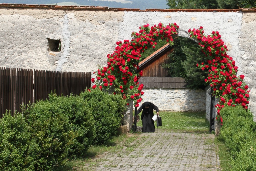 v Spišskej Kapitule