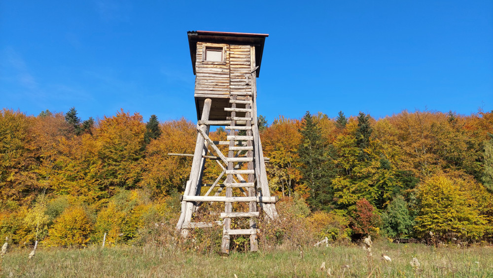 Bardejov, obec Zlaté.