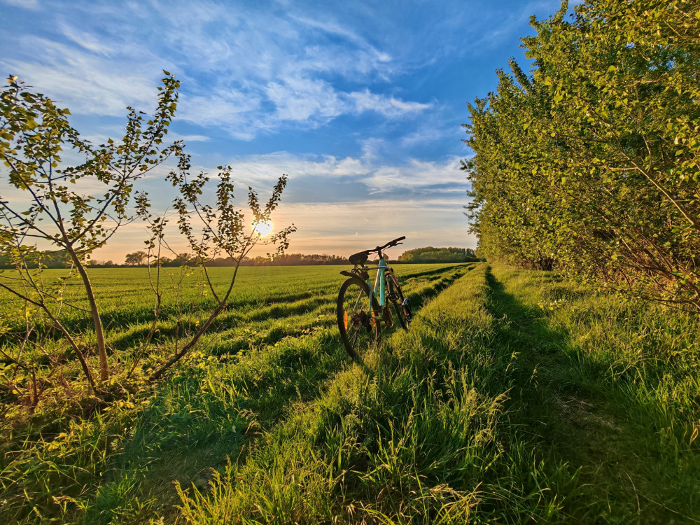 Zátišie s bicyklom