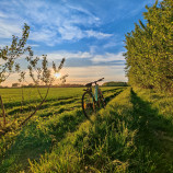 Zátišie s bicyklom